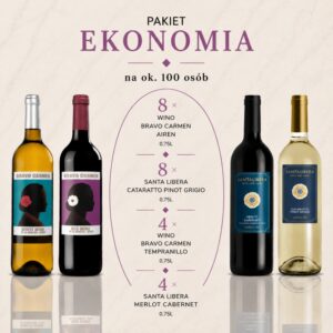ekonomia 100 Zestaw win Klasyk I Silver do 100 osób